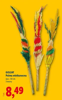 Palma wielkanocna  promocja w Lidl