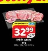 Królik tuszka promocja w Delfin