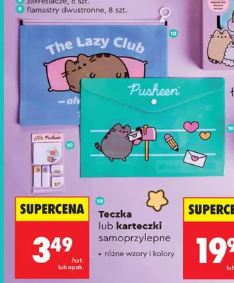 Karteczki samoprzylepne Pusheen promocja w Biedronka