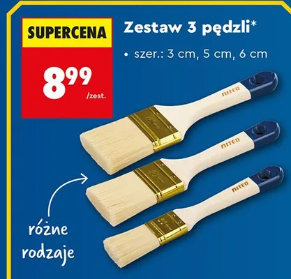 Zestaw 3 pędzli promocja w Biedronka