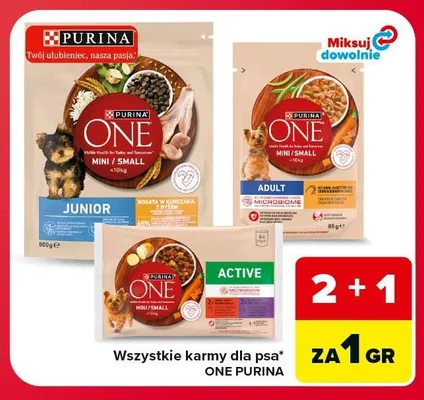 Sucha karma dla psa Purina One Junior promocja w Carrefour Market