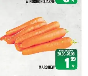 Marchew promocja w Tomi Markt