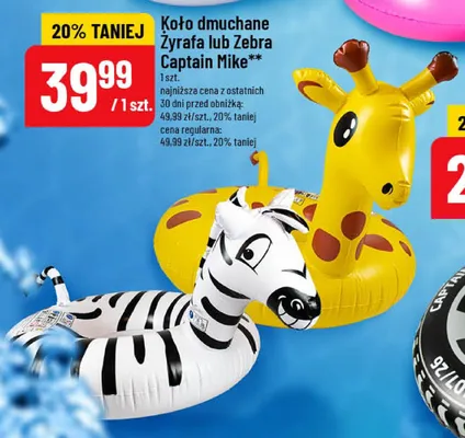 Koło dmuchane Zebra Captain Mike promocja w POLOmarket
