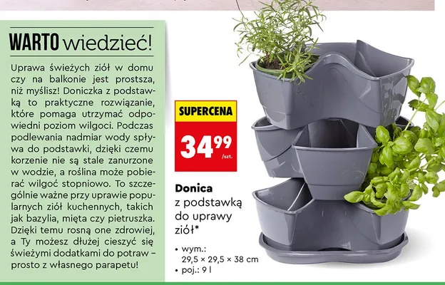 Donica z podstawką do uprawy ziół promocja w Biedronka