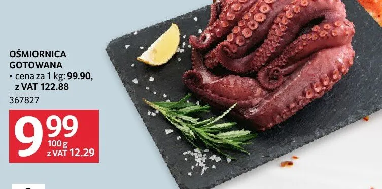 Ośmiornica gotowana promocja w Selgros