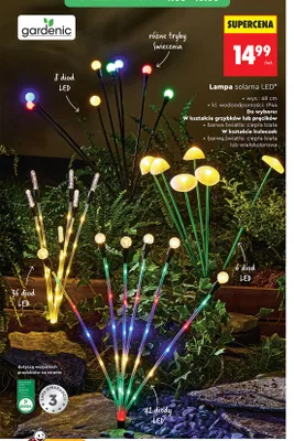 Lampa solarna LED Gardenic w kształcie kuleczek barwa światła ciepła biała promocja w Biedronka