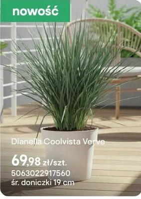 Dianella Coolvista Verve promocja w Castorama