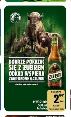 Piwo Żubr promocja w Tomi Markt