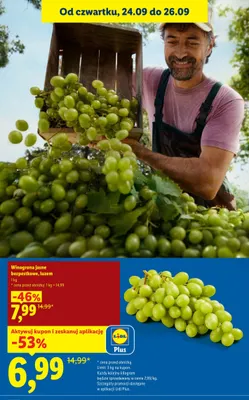 Winogrona jasne bezpestkowe promocja w Lidl