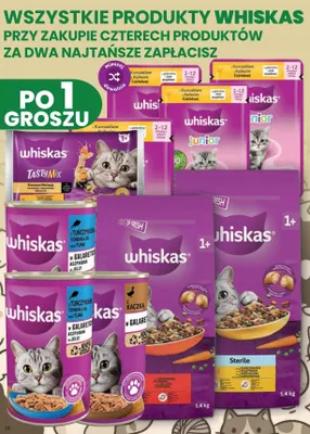 Karma dla kota Junior z kurczakiem w galaretce Whiskas promocja w Dino