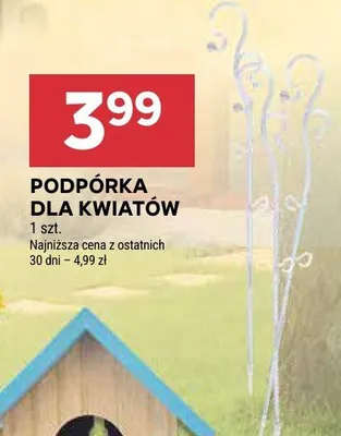 Podpórka dla kwiatów promocja w Stokrotka
