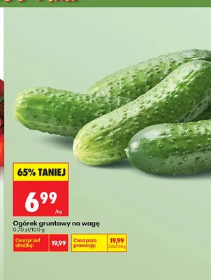 Ogórek gruntowy na wagę promocja w Biedronka