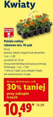 Polskie rośliny rabatowe mix 10-pak aksamitka promocja w Lidl