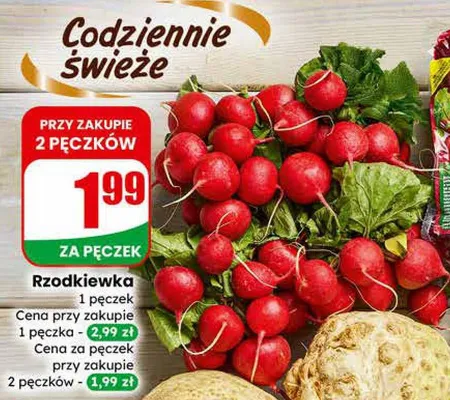 Rzodkiewka promocja w Dino