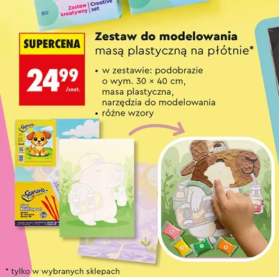 Zestaw do modelowania masą plastyczną na płótnie Sensorio promocja w Biedronka