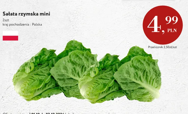 Sałata rzymska mini polska promocja w Market Point