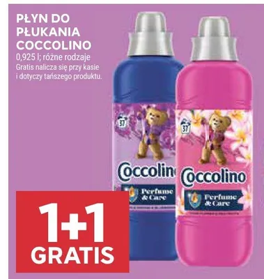 Płyn do płukania promocja w Stokrotka