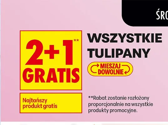 Wszystkie tulipany 2+1 GRATIS promocja w Biedronka