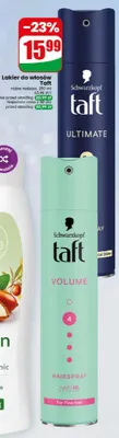 Lakier do włosów Taft Schwarzkopf promocja w Dino