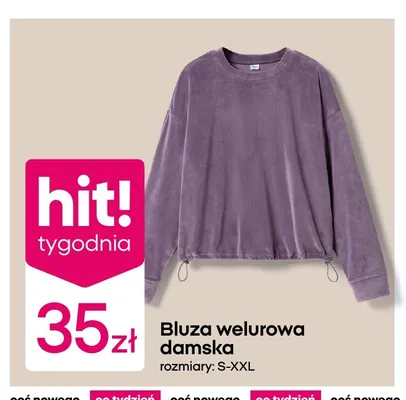 Bluza welurowa damska promocja w Pepco