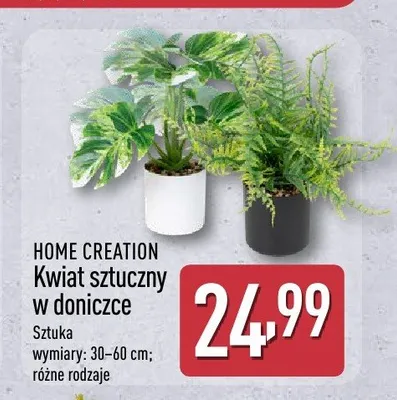 Kwiat sztuczny w doniczce HOME CREATION wymiary: 30-60cm promocja w Aldi