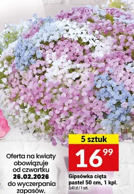 Gipsówka cięta pastel 5 sztuk promocja w Twój Market