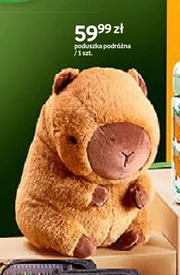 Poduszka podróżna Cappy Classes promocja w Empik