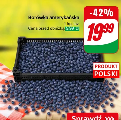 Borówka amerykańska polska promocja w Dino