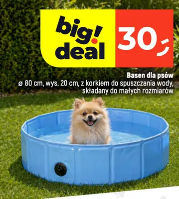 Basen dla psów promocja w Dealz