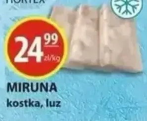 Miruna kostka, luz promocja w Zielony Koszyk