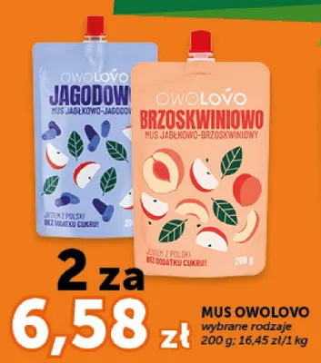 Mus jabłkowo-brzoskwiniowy Owolovo promocja w Euro Sklep