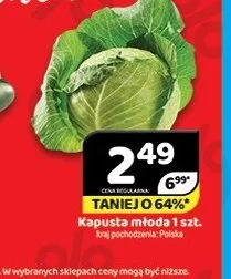 Kapusta młoda Polska promocja w Delfin