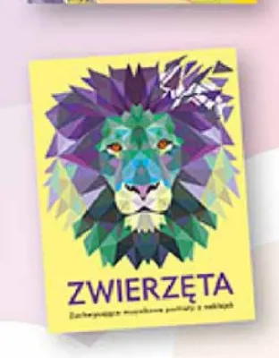 Książka Zwierzęta mozaiki i naklejki promocja w Biedronka