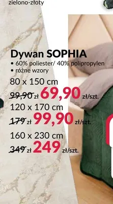 Dywan SOPHIA 120x170 cm promocja w Salony Agata