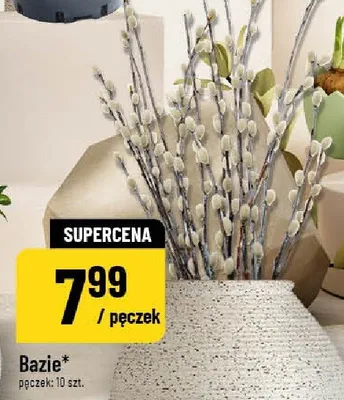 Bazie pęczek: 10 szt. promocja w POLOmarket