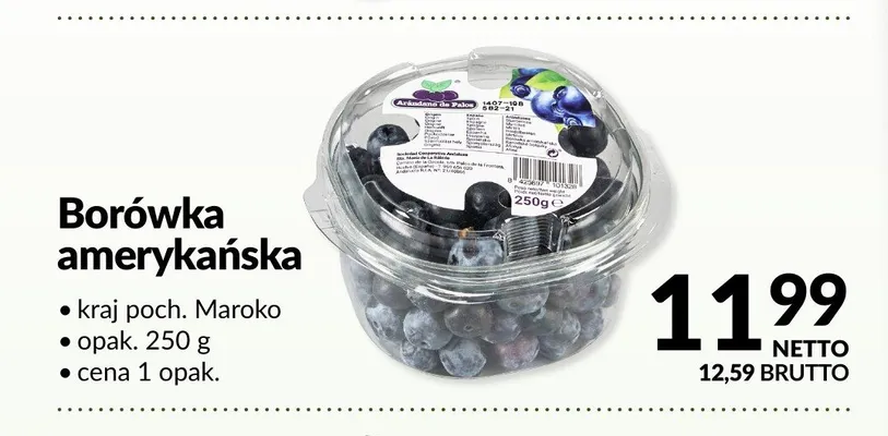 Borówka amerykańska Maroko promocja w Makro