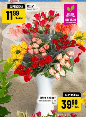 Róże bukiet 9 szt. promocja w POLOmarket