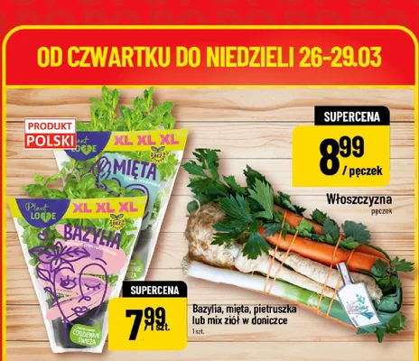 Bazylia, mięta, pietruszka lub mix ziół w doniczce promocja w POLOmarket