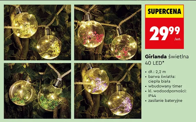 Girlanda świetlna 40 LED promocja w Biedronka