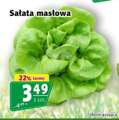 Sałata masłowa promocja w Prim Market