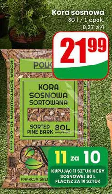 Kora sosnowa promocja w Dino