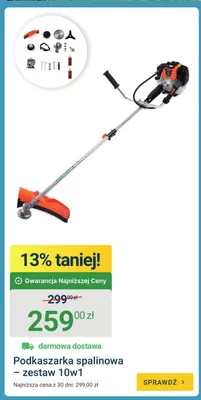 Podkaszarka spalinowa – zestaw 10w1 promocja w ERLI
