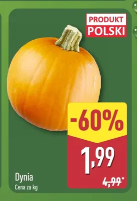 Dynia promocja w Aldi