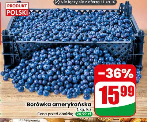Borówka amerykańska promocja w Dino