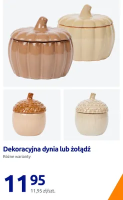 Dekoracyjna dynia promocja w Action