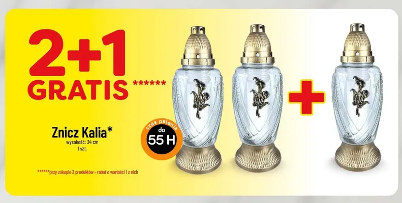 Znicz Kalia promocja w POLOmarket
