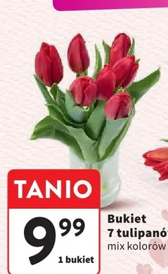 Bukiet 7 tulipanów mix kolorów promocja w Intermarche