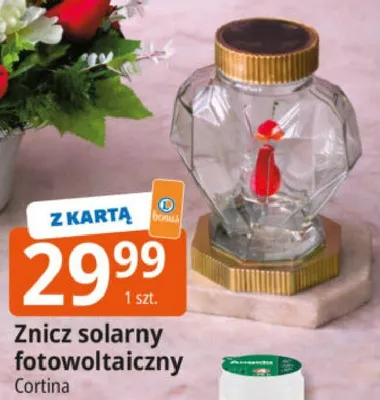 Znicz solarny fotowoltaiczny promocja w Leclerc