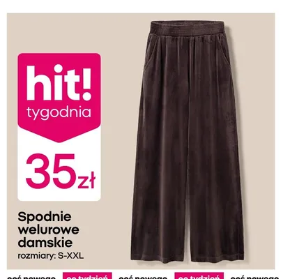 Spodnie welurowe damskie promocja w Pepco