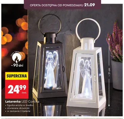 Latarenka LED Cortina z figurką anioła promocja w Biedronka
